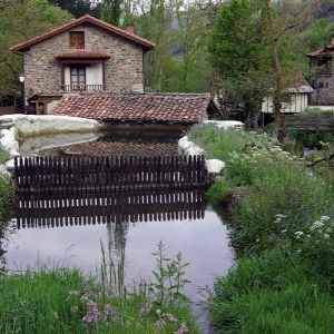 Aniezo - millpond