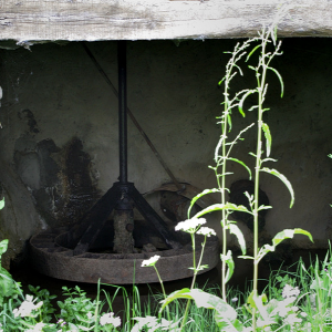 Aniezo - remains of mill wheel