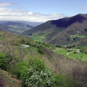 Near Barago