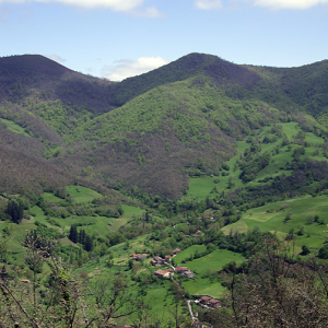Near Barago