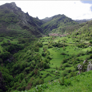 Cucayo