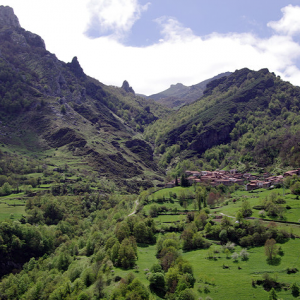 Cucayo