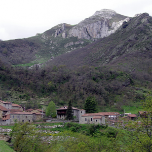 Cucayo