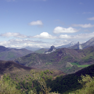 On the way to the San Glorio Pass