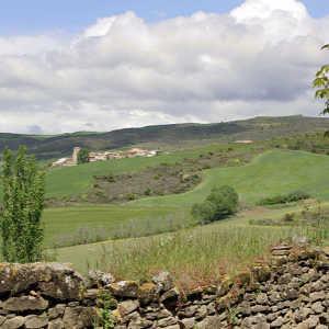 Around Lerate