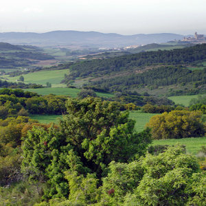 Artajona