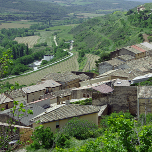 San Martin de Unx