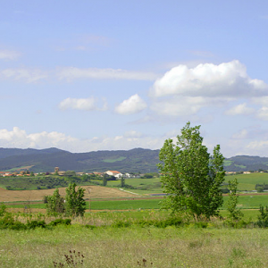 Area around Santa Maria de Eunate