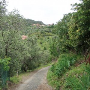 Hike from Framura to Levanto