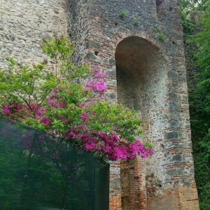 Asolo day19-13