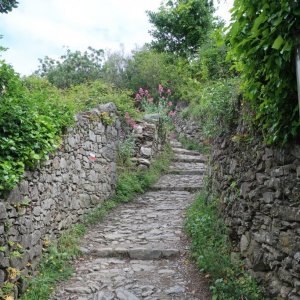 Hike the High Route from Corniglia to Manarola