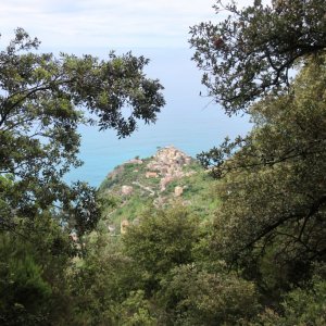 Hike the High Route from Corniglia to Manarola
