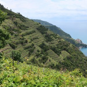 Hike the High Route from Corniglia to Manarola
