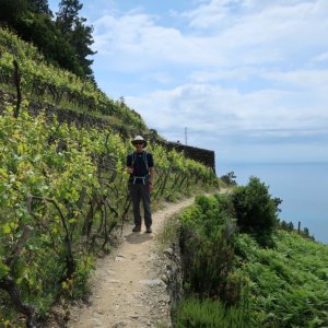 Hike the High Route from Corniglia to Manarola