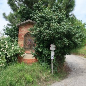 Hike - Barolo to Monforte