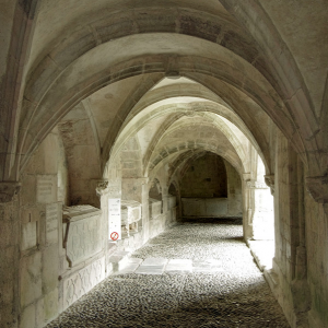 Cathédrale Notre-Dame de Saint-Bertrand-de-Comminges, cloisters