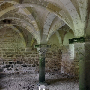 Abbaye de Villelongue - chapter house