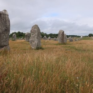 Carnac Alignments