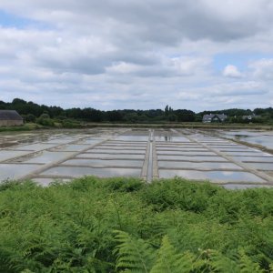 Salt Farm