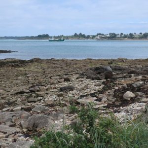 Gulf of Morbihan