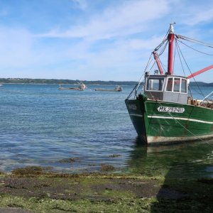 Carantec