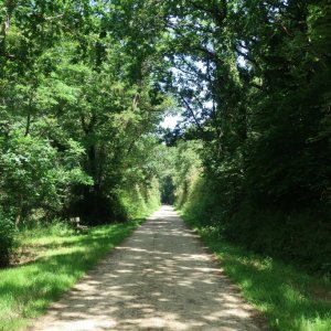 Morlaix Railway Trail