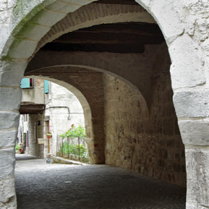 Castelnau-de-Montmiral