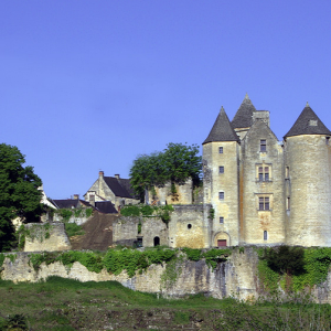 Château de Salignac