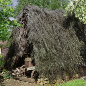 Cabanes du Breuil - brushwood hut