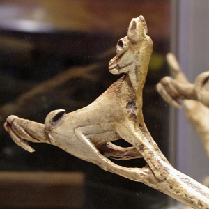 Maison Forte de Reignac museum - carved antler