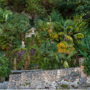 La Roque-Gageac - exotic garden