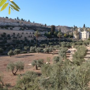 Kidron Valley