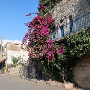 Ein Kerem