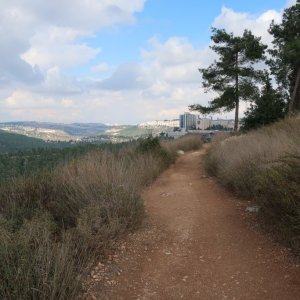 The Springs Trail