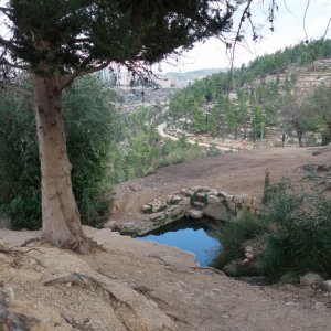 The Springs Trail