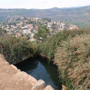 The Springs Trail