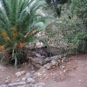 The Springs Trail