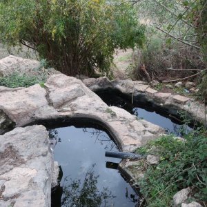 The Springs Trail