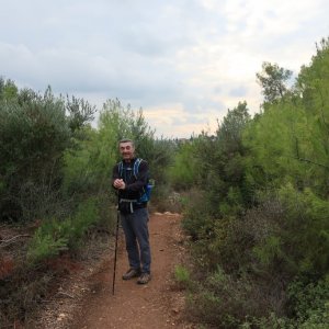The Springs Trail