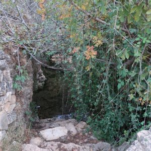 The Springs Trail