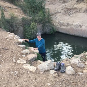 The Springs Trail