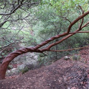 Wadi Ktalav Hike