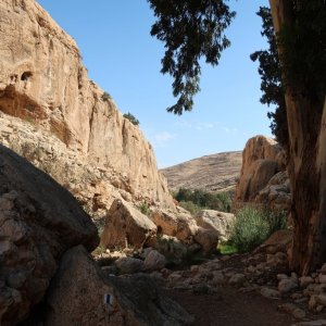 Ein Prat Nature Reserve - Wadi Kelt