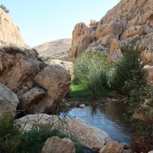 Ein Prat Nature Reserve - Wadi Kelt