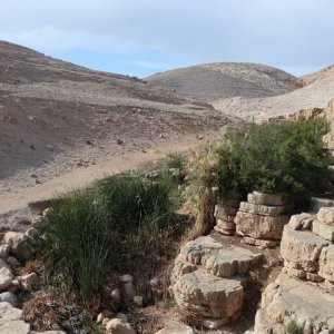 Ein Prat Nature Reserve - Wadi Kelt