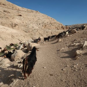 Ein Prat Nature Reserve - Wadi Kelt