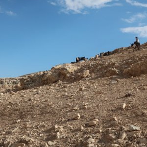 Ein Prat Nature Reserve - Wadi Kelt