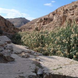 Ein Prat Nature Reserve - Wadi Kelt