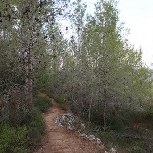 Wadi Ktalav Hike