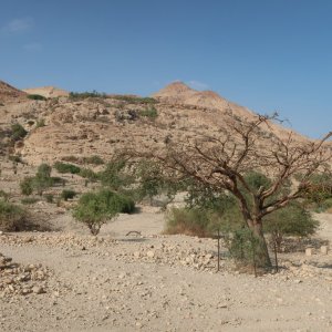 Ein Gedi Nature Reserve